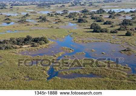 Aerial view of a delta, Okavango Delta, Botswana View Large Photo Image Stock Photo - Aerial view of a delta, Okavango Delta, Botswana. Fotosearch