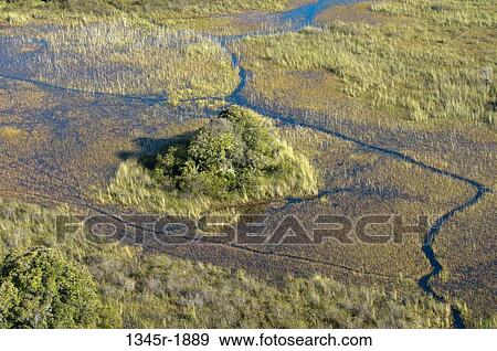 Stock Photo - Aerial view of a delta, Okavango Delta, Botswana. Fotosearch