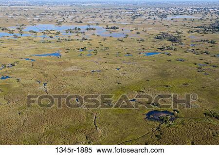 Aerial view of a delta, Okavango Delta, Botswana View Large Photo Image Stock Photography - Aerial view of a delta, Okavango Delta, Botswana. Fotosearch