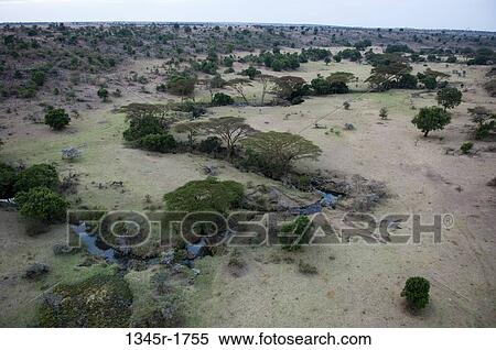Africa, Kenya, Masai Mara, aerial view of savannah landscape View Large Photo Image Stock Photography - Africa, Kenya, Masai Mara, aerial view of savannah landscape. Fotosearch