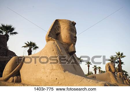 Avenue of the Sphinxes, Luxor Temple, Luxor, Egypt View Large Photo Image Stock Photography - Avenue of the Sphinxes, Luxor Temple, Luxor, Egypt. Fotosearch