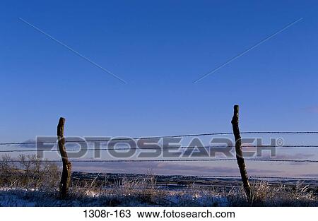 Barbed wire fence in a field View Large Photo Image Stock Image - Barbed wire fence in a field. Fotosearch