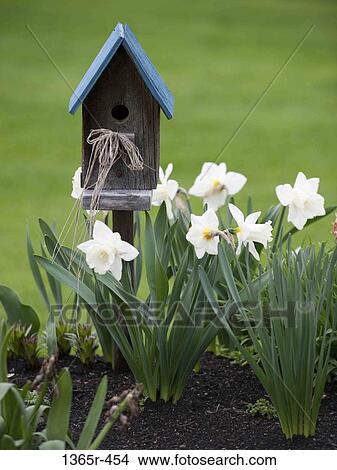 Bird house in flower garden. View Large Photo Image Picture - Bird house in flower garden.. Fotosearch