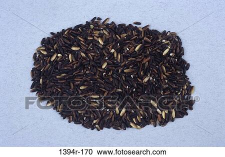 Black rice View Large Photo Image Stock Image - Black rice. Fotosearch