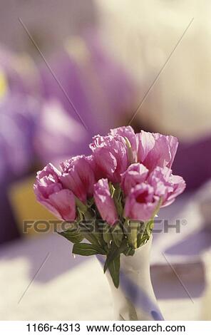 Stock Image - Bouquet of pink flowers in a vase. Fotosearch
