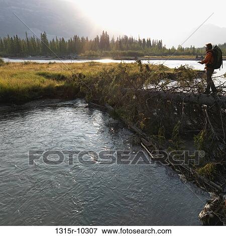 Canada, Alberta, Banff National Park, Bow River, Hiker walking across logs View Large Photo Image Stock Photo - Canada, Alberta, Banff National Park, Bow River, Hiker walking across logs. Fotosearch