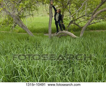 Canada, Alberta, Calgary, Businessman standing on tree trunk in grassy meadow View Large Photo Image Stock Image - Canada, Alberta, Calgary, Businessman standing on tree trunk in grassy meadow. Fotosearch