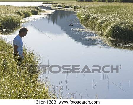 Canada, Alberta, man walking through tall grasses to cross creek View Large Photo Image Stock Image - Canada, Alberta, man walking through tall grasses to cross creek. Fotosearch