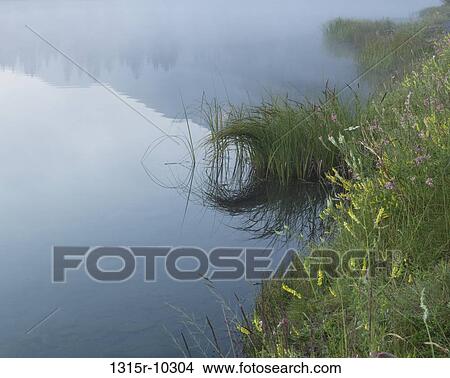 Picture - Canada, Alberta, Mist rises from mountain lake before suise. Fotosearch