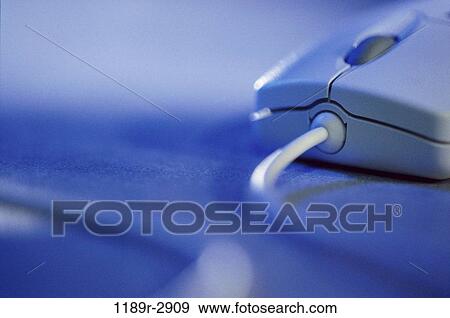 Close-up of a computer mouse View Large Photo Image Stock Photo - Close-up of a computer mouse. Fotosearch