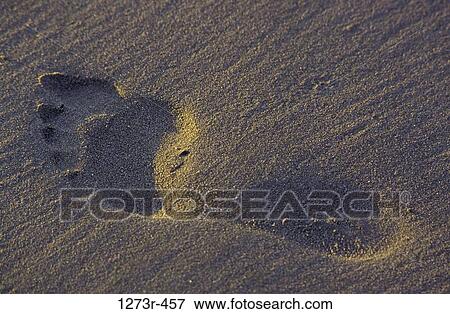 Stock Photo - Close-up of a footprint in the sand, Choco, Colombia. Fotosearch
