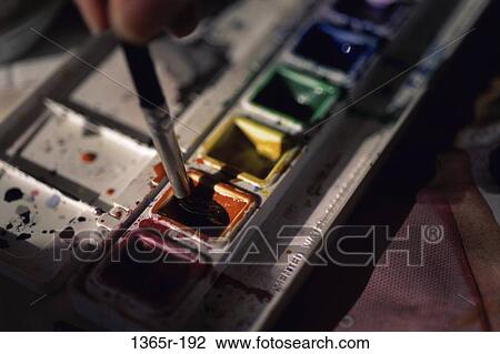 Close-up of a paintbrush in a color palette View Large Photo Image Stock Image - Close-up of a paintbrush in a color palette. Fotosearch