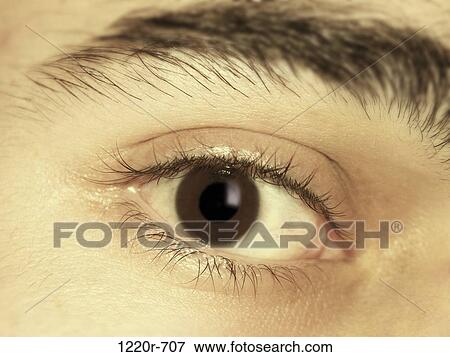 Close-up of a young woman's eye View Large Photo Image Stock Photo - Close-up of a young woman's eye. Fotosearch