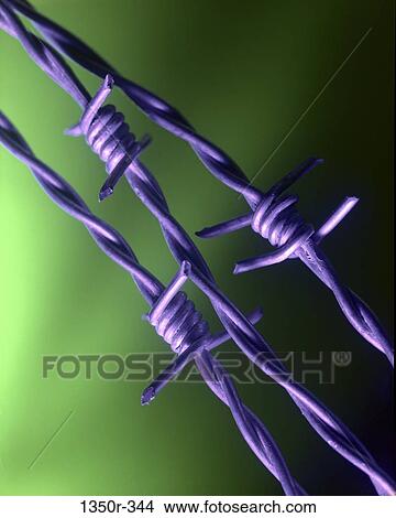 Close-up of barbed wire View Large Photo Image Picture - Close-up of barbed wire. Fotosearch