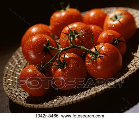 Close-up of tomatoes in a basket View Large Photo Image Stock Photograph - Close-up of tomatoes in a basket. Fotosearch