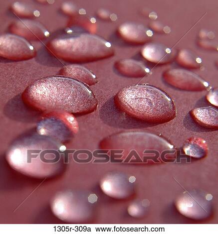 Close-up of water droplets on a surface View Large Photo Image Stock Image - Close-up of water droplets on a surface. Fotosearch