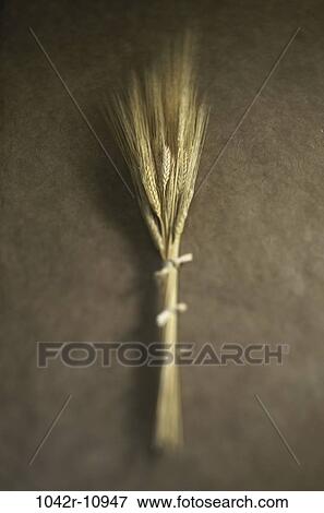 Stock Photo - Close-up of wheat. Fotosearch