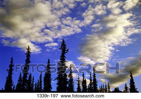 Stock Photo - Clouds in the sky above Denali National Park, Alaska, USA. Fotosearch