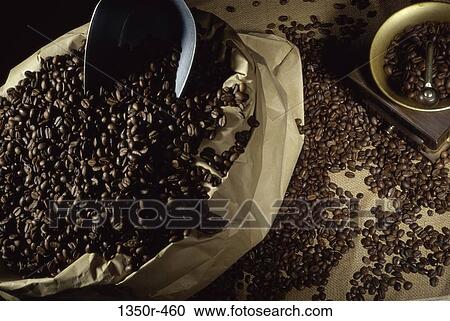 Coffee beans in a sack View Large Photo Image Stock Image - Coffee beans in a sack. Fotosearch