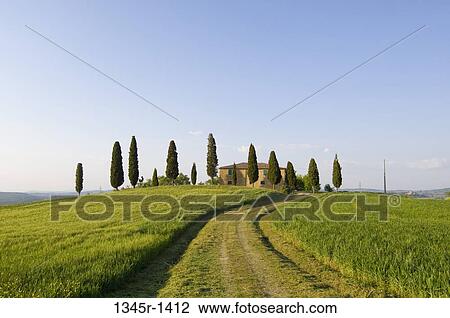 Dirt road passing through fields, Pienza, Val d'Orcia, Siena province, Tuscany, Italy View Large Photo Image Stock Image - Dirt road passing through fields, Pienza, Val d'Orcia, Siena province, Tuscany, Italy. Fotosearch