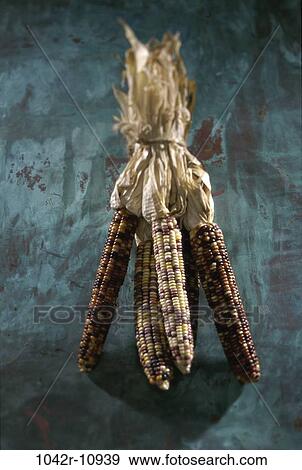Stock Photo - Dried Indian corn. Fotosearch