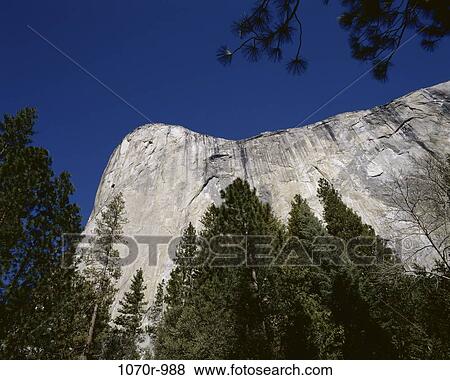 El Capitan, Yosemite National Park, California, USA View Large Photo Image Stock Photo - El Capitan, Yosemite National Park, California, USA. Fotosearch