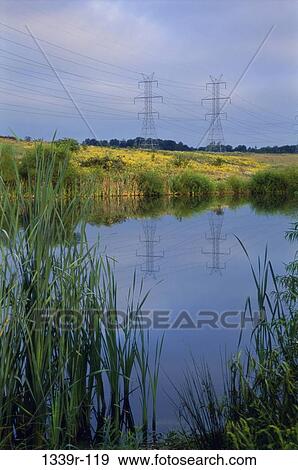 Electricity pylons in a field near a pond View Large Photo Image Stock Photo - Electricity pylons in a field near a pond. Fotosearch