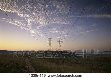 Electricity pylons in a field View Large Photo Image Stock Photograph - Electricity pylons in a field. Fotosearch