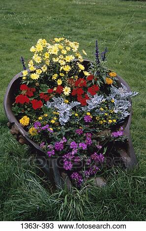 Stock Image - Flower arrangement. Fotosearch