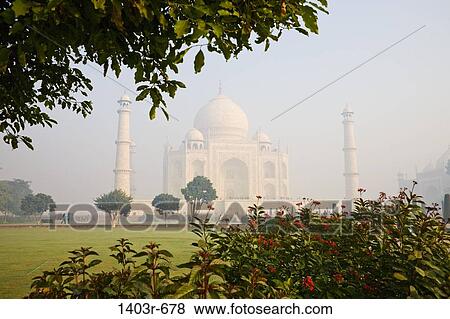 Flowers in a park with a mausoleum in the background, Taj Mahal, Agra, Uttar Pradesh, India View Large Photo Image Stock Photo - Flowers in a park with a mausoleum in the background, Taj Mahal, Agra, Uttar Pradesh, India. Fotosearch