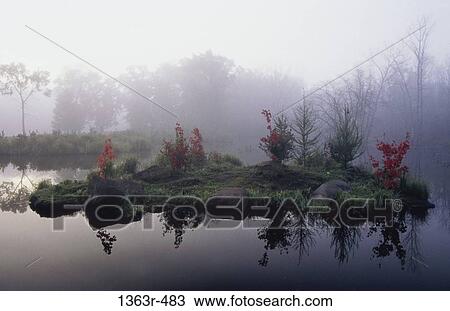Fog over a landscape, Minnesota, USA View Large Photo Image Stock Image - Fog over a landscape, Minnesota, USA. Fotosearch
