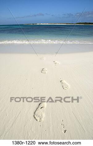 Footprints on the beach, Los Roques National Park, Los Roques, Venezuela View Large Photo Image Stock Image - Footprints on the beach, Los Roques National Park, Los Roques, Venezuela. Fotosearch
