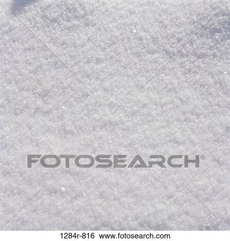 Fresh snow on the ground View Large Photo Image Stock Photograph - Fresh snow on the ground. Fotosearch