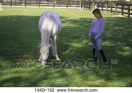 Girl holding the reins of a Shetland pony View Large Photo Image Stock Image - Girl holding the reins of a Shetland pony. Fotosearch