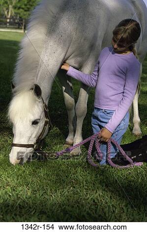 Picture - Girl kneeling on a lawn with a Shetland pony. Fotosearch