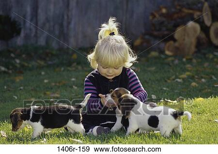 Girl sitting on a lawn playing with puppies View Large Photo Image Stock Photo - Girl sitting on a lawn playing with puppies. Fotosearch