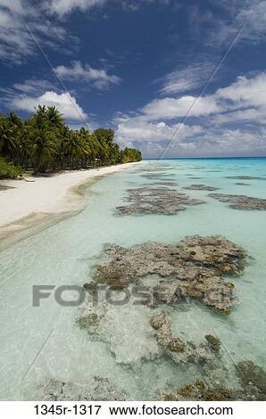 High angle view of a beach, Fakarava, Tuamotu Archipelago, French Polynesia View Large Photo Image Stock Photo - High angle view of a beach, Fakarava, Tuamotu Archipelago, French Polynesia. Fotosearch