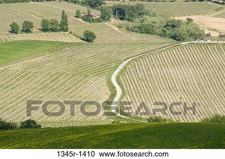 Stock Image - High angle view of cultivated fields, Montalcino, San Gimignano, Val d'Orcia, Siena Province, Tuscany, Italy. Fotosearch