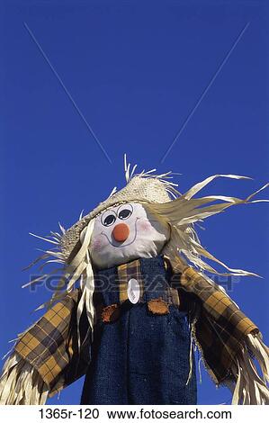 High section view of a scarecrow View Large Photo Image Stock Image - High section view of a scarecrow. Fotosearch