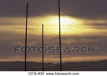 High section view of masts of boats, Santa Barbara, California, USA View Large Photo Image Stock Image - High section view of masts of boats, Santa Barbara, California, USA. Fotosearch