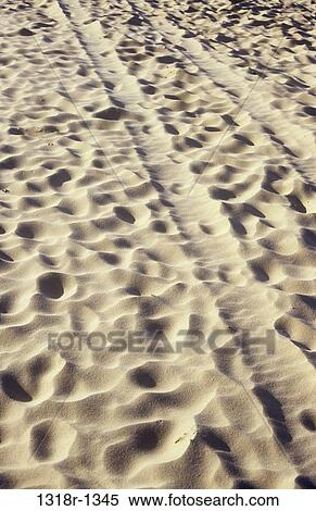 Hundred of footprints and tire track on the beach, Norfolk, East Anglia, England View Large Photo Image Stock Photography - Hundred of footprints and tire track on the beach, Norfolk, East Anglia, England. Fotosearch