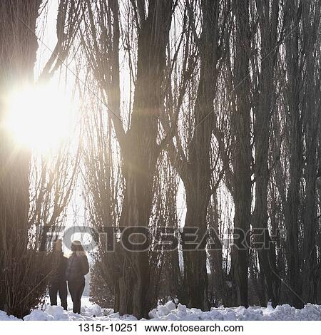Italy, Couple standing between trees in winter View Large Photo Image Stock Image - Italy, Couple standing between trees in winter. Fotosearch