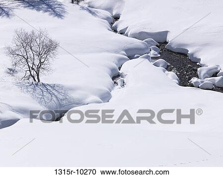 Italy, Mountain creek passes through snowy meadow View Large Photo Image Stock Image - Italy, Mountain creek passes through snowy meadow. Fotosearch
