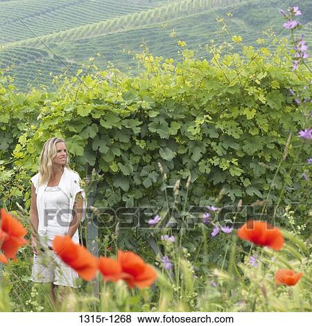 Italy, Piedmont, Barolo, Mature woman standing beside grape vines View Large Photo Image Stock Photo - Italy, Piedmont, Barolo, Mature woman standing beside grape vines. Fotosearch