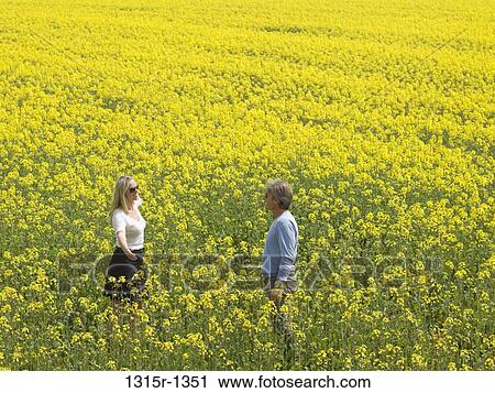 Italy, Piedmont, couple standing in canola field View Large Photo Image Stock Image - Italy, Piedmont, couple standing in canola field. Fotosearch