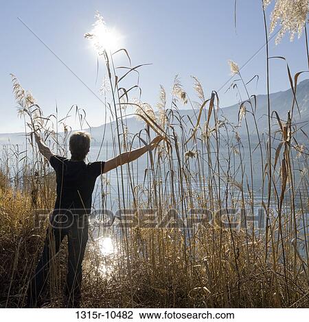Italy, Piedmont, Lake Maggiore, Man pulling back rush at lake edge View Large Photo Image Stock Image - Italy, Piedmont, Lake Maggiore, Man pulling back rush at lake edge. Fotosearch