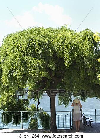 Italy, Piedmont, Lake Maggiore, Woman adjusting hat under tree View Large Photo Image Picture - Italy, Piedmont, Lake Maggiore, Woman adjusting hat under tree. Fotosearch