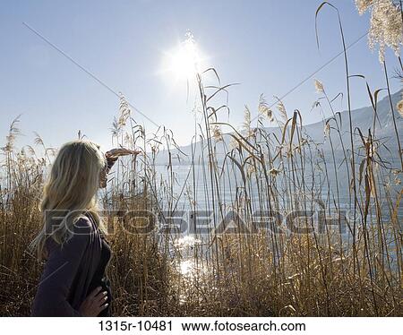 Italy, Piedmont, Lake Maggiore, Woman looking out through rush at lake edge View Large Photo Image Stock Image - Italy, Piedmont, Lake Maggiore, Woman looking out through rush at lake edge. Fotosearch