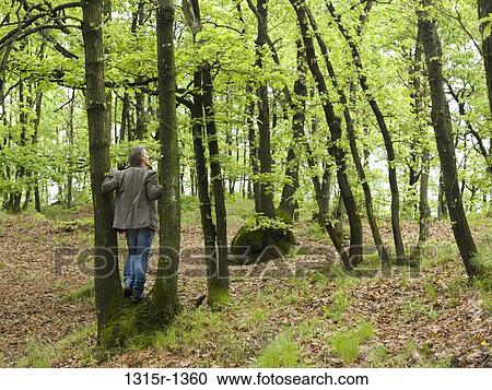 Italy, Piedmont, man standing between trees in forest View Large Photo Image Stock Image - Italy, Piedmont, man standing between trees in forest. Fotosearch