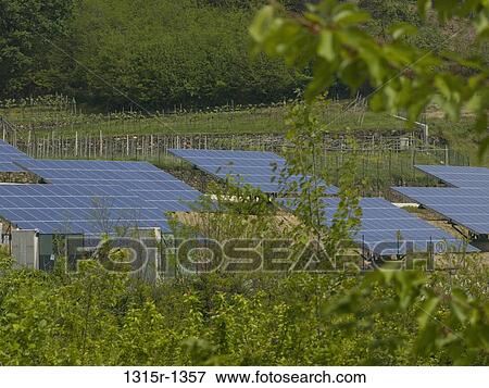 Italy, Piedmont, solar panels View Large Photo Image Stock Photo - Italy, Piedmont, solar panels. Fotosearch
